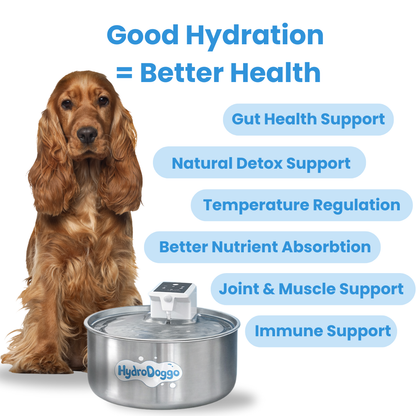 HydroDoggo™ Water Fountain