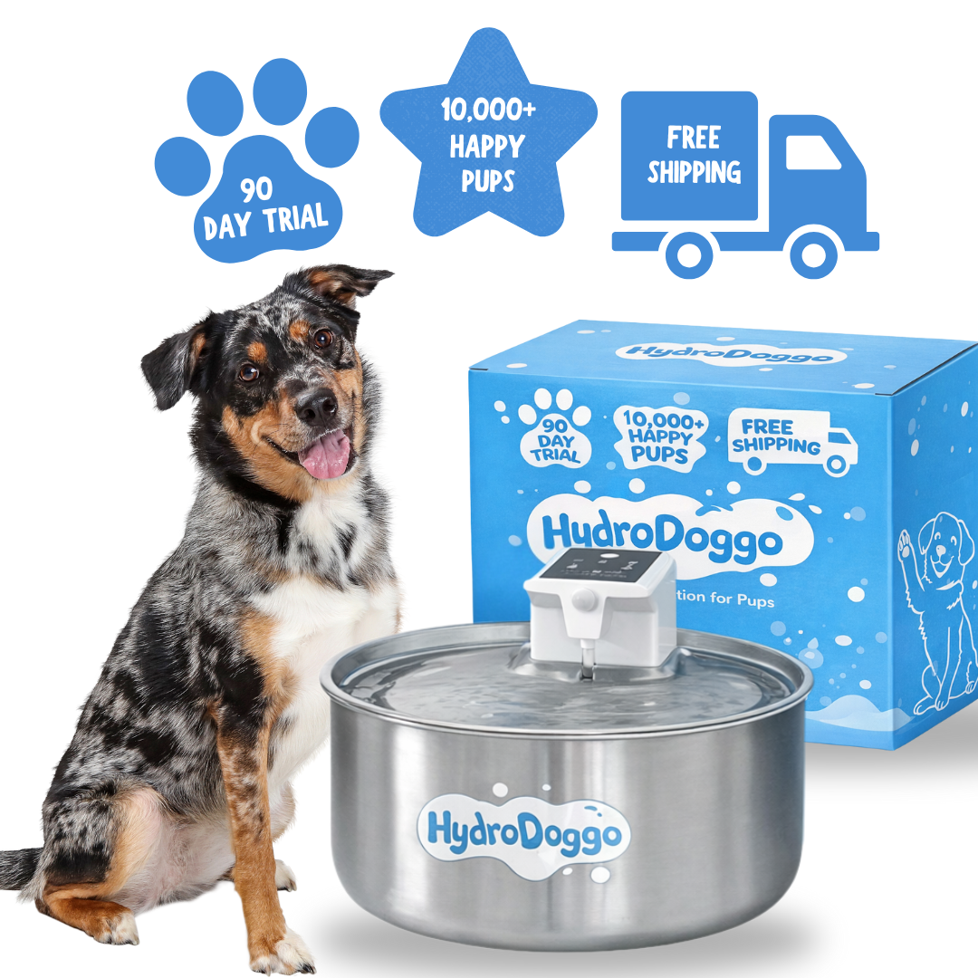 HydroDoggo™ Water Fountain